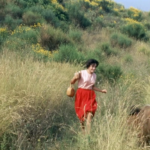 2ª sessão